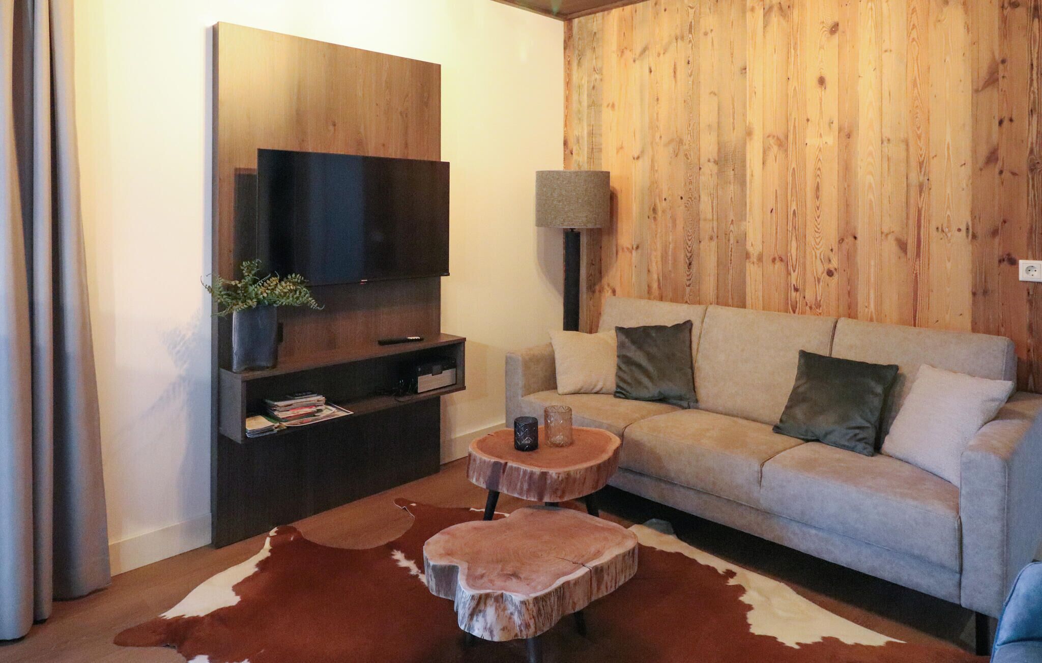 Fernseher