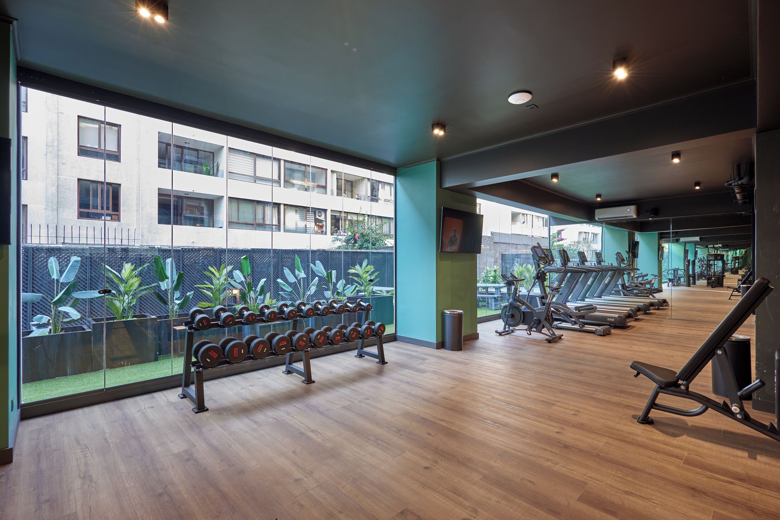 Gimnasio