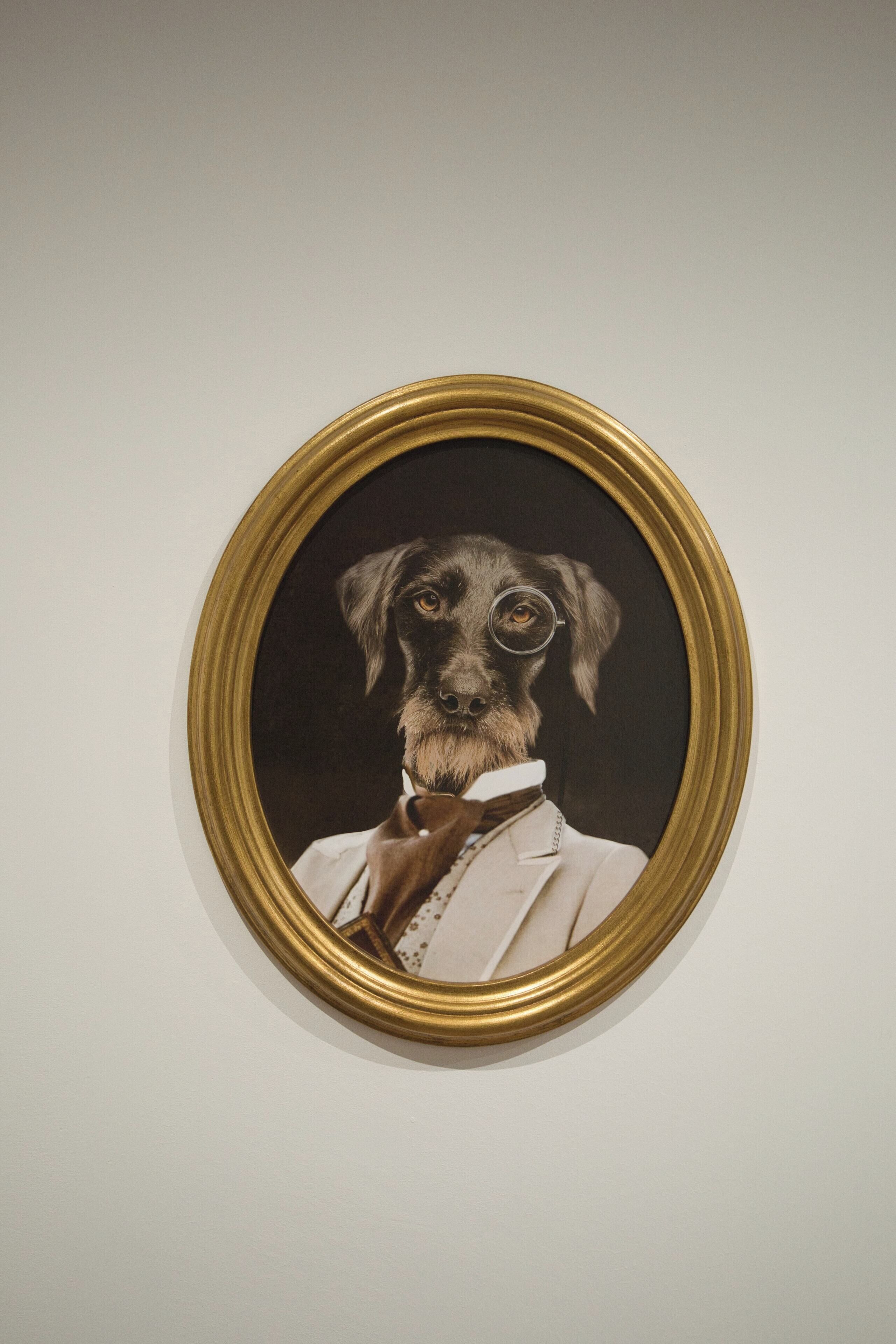 Un portrait encadré d'un chien portant un costume.