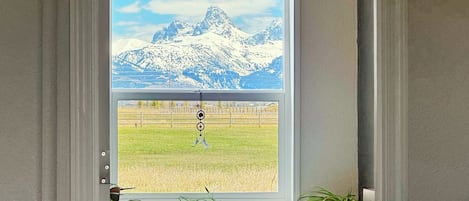 Iron/ironing board, Internet, bed sheets