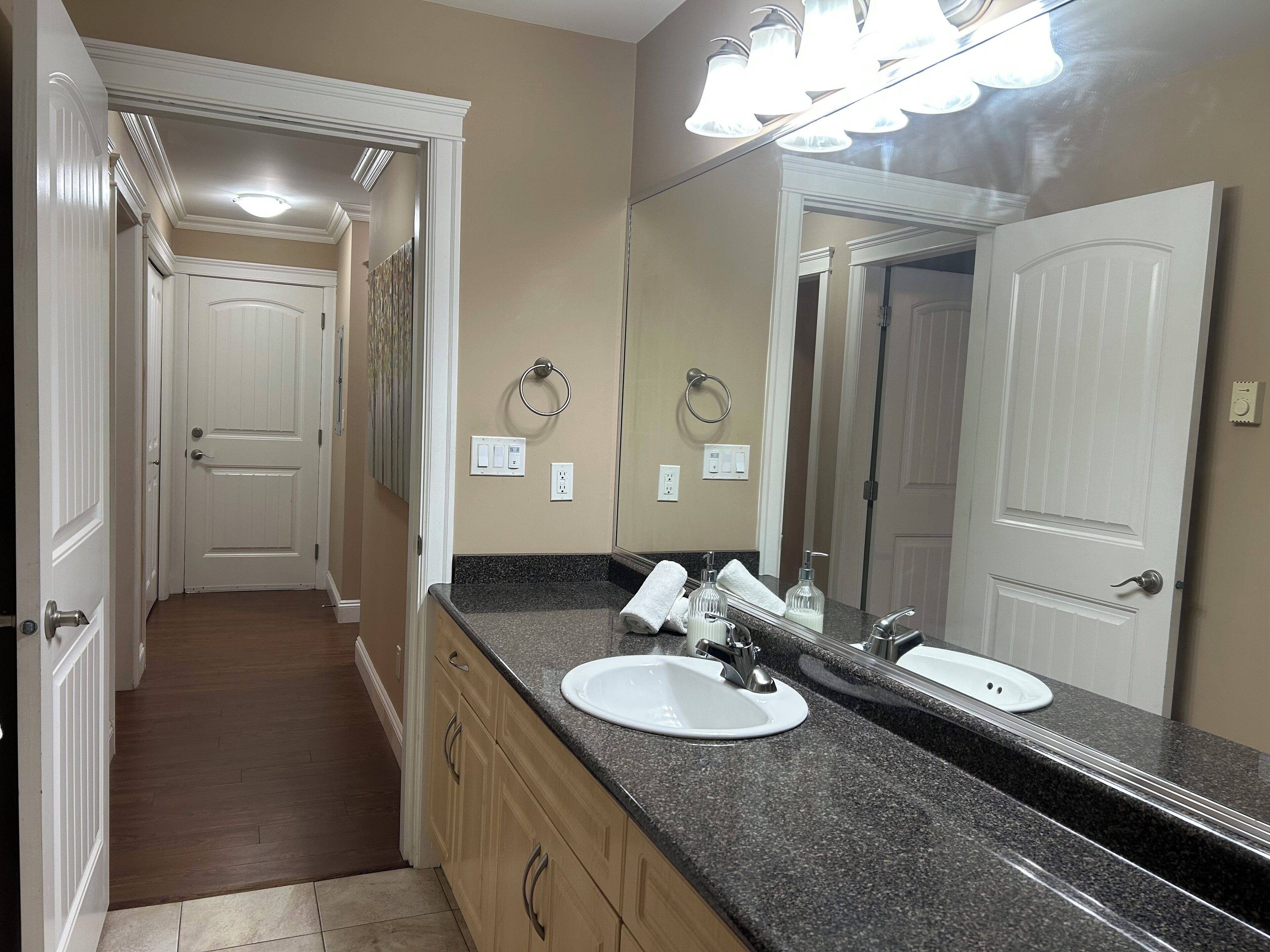 Hårføner, bidé, håndklær og såpe