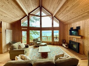 Televisor intel·ligent, llar de foc i llibres