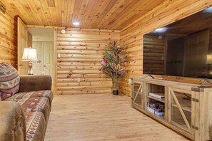 Televisión, chimenea y libros 