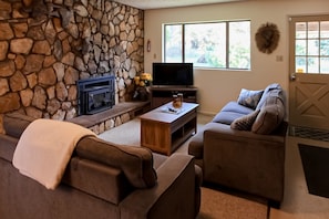 TV, fireplace, DVD player, books