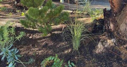 New ~ The Grove Guest House