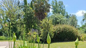 A garden with green foliage and a clear sky.
