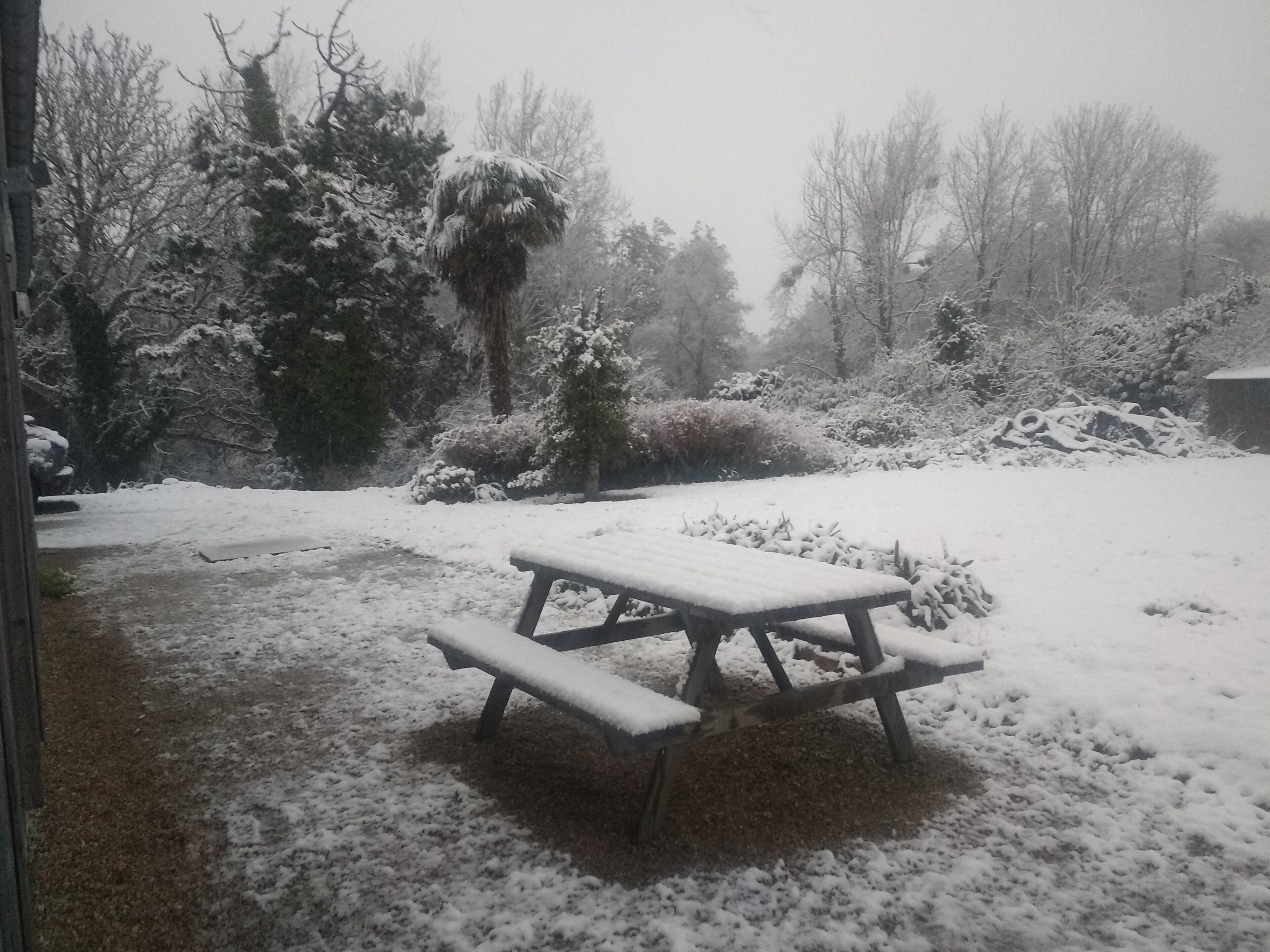 A snow-covered picnic table in a garden with trees and bushes.