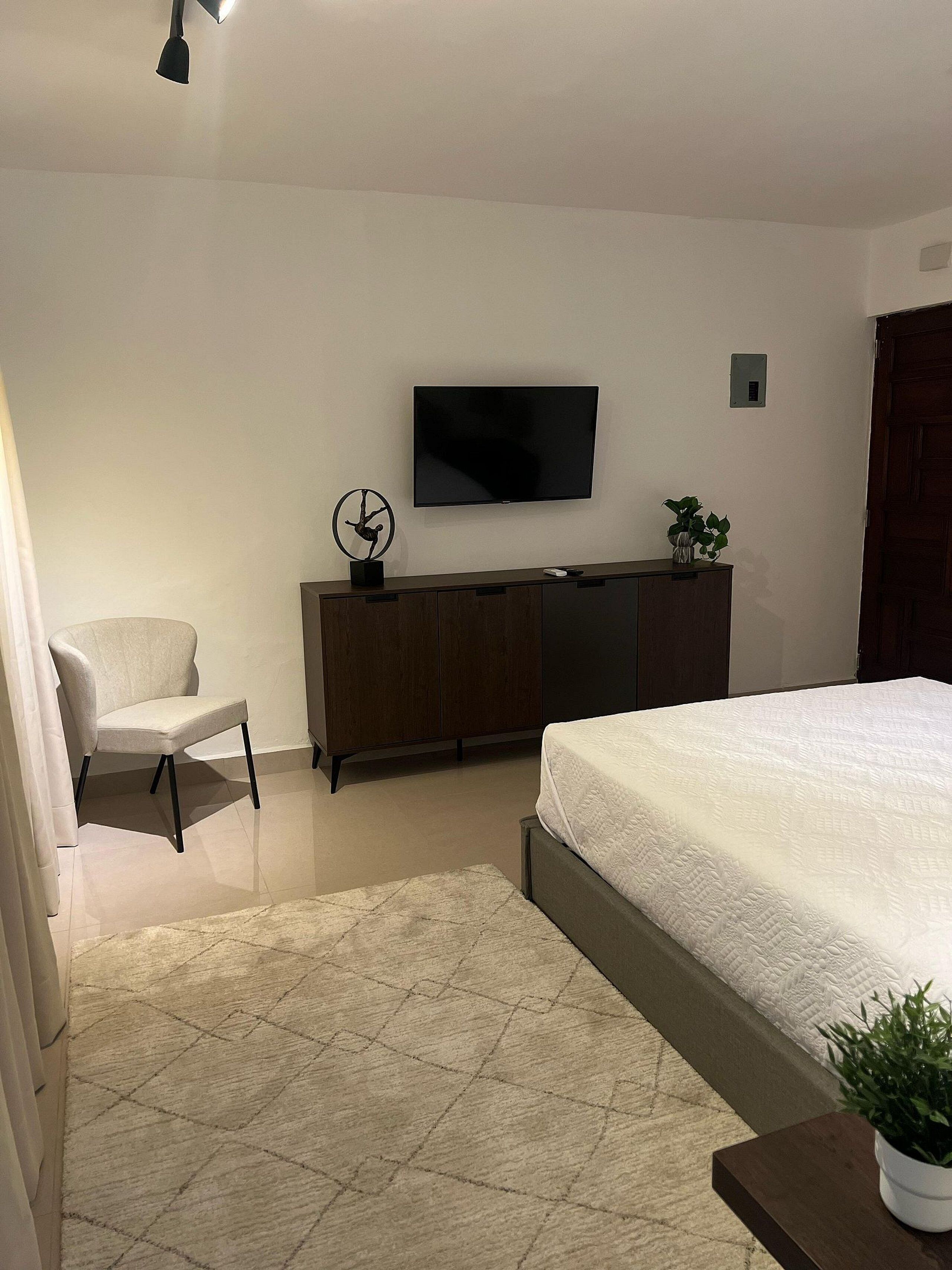 A bedroom with a bed, a TV mounted on the wall, a wooden cabinet, a chair, and a small plant.