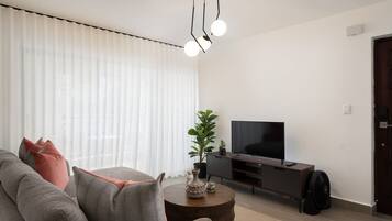 Una sala de estar moderna con un sofá, una mesa de centro, un televisor y una planta en maceta.