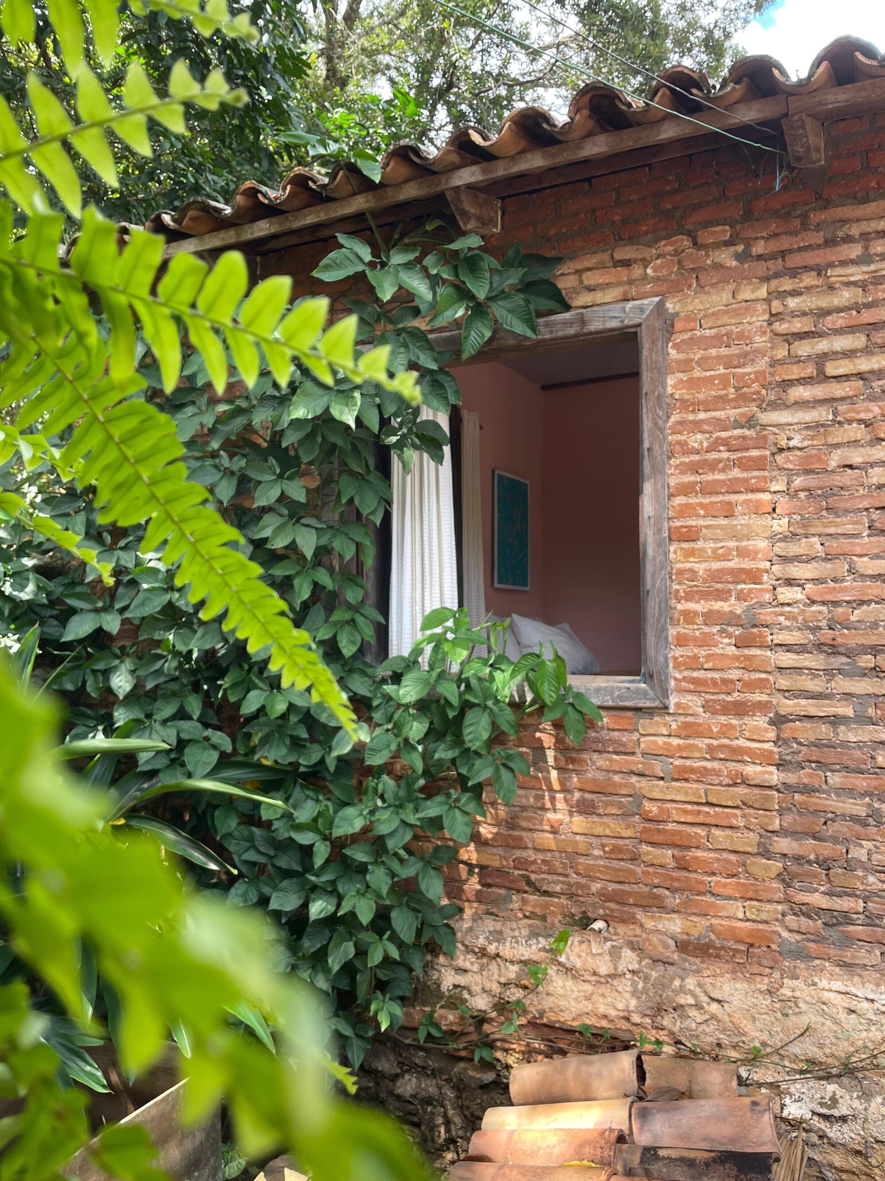 ベーシック シングルルーム パークビュー | テラス / パティオ