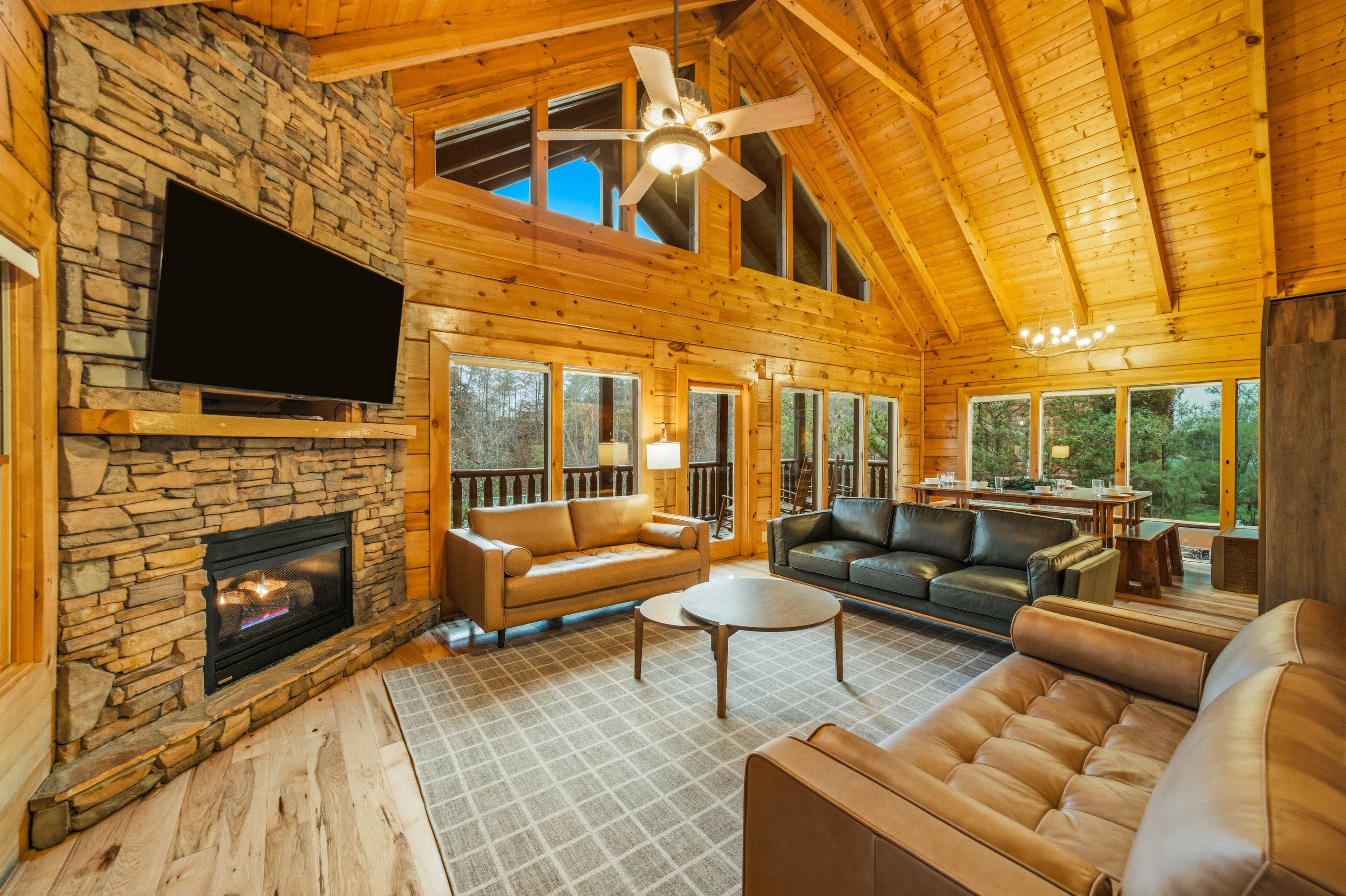 Smart TV, chimenea, videojuegos, libros