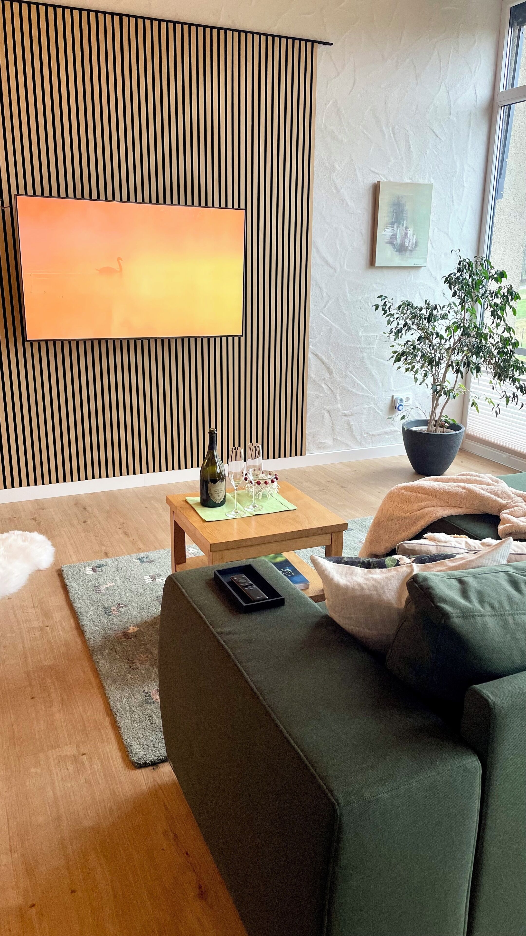Smart TV, fireplace, books
