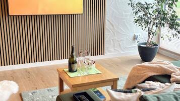 Smart TV, fireplace, books
