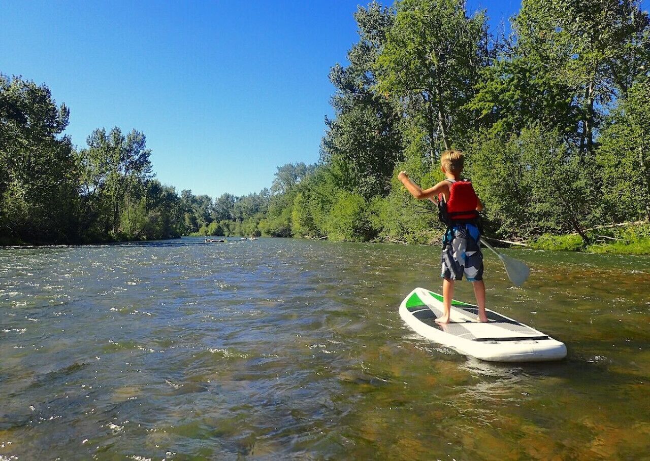 A person standing on a paddleboard in a river surrounded by trees.