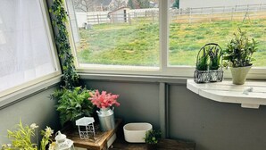 A corner of a room with a window overlooking a grassy area, a wooden bench, and various potted plants and decorative items on a shelf. - Bonanza Blast in SW Boise (Boise)