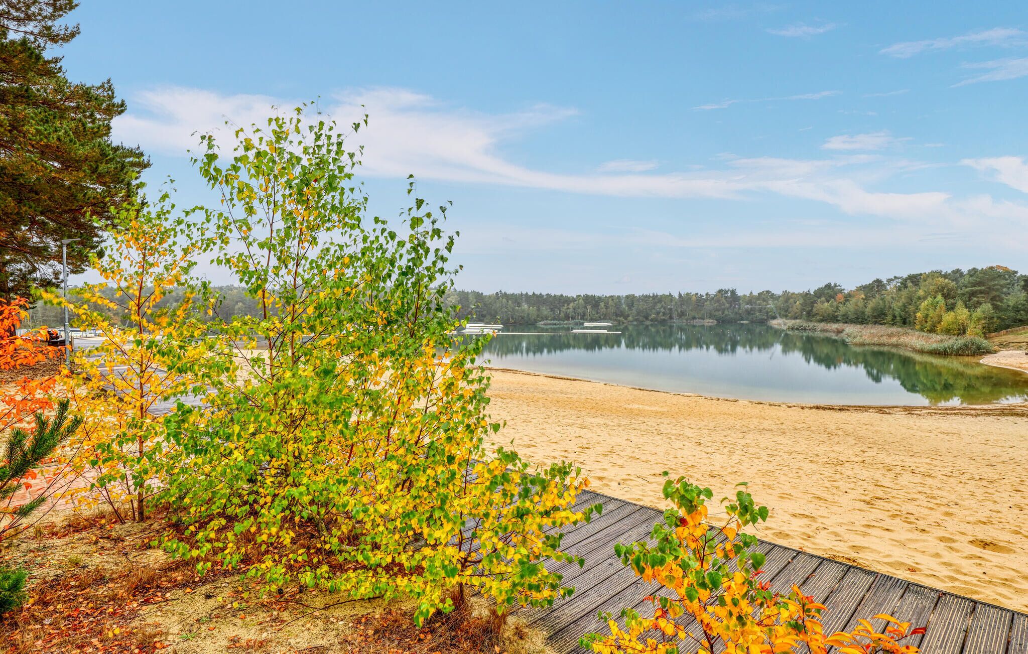 Una spiaggia nelle vicinanze, pesca