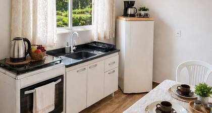 Apartamento para alugar em Cascavel PR