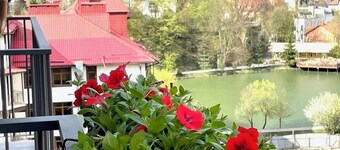 Polyana Kvasova - Green Mountain Apart