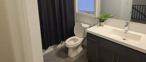 Hair dryer, towels, soap, toilet paper