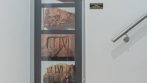 Um elevador moderno com porta de vidro exibindo inscrições antigas.