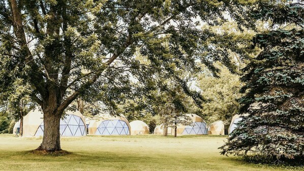 Exterior - Dome 2: Songbird Sanctuary - 1 Queen bed, Rainfall Shower (South Haven)