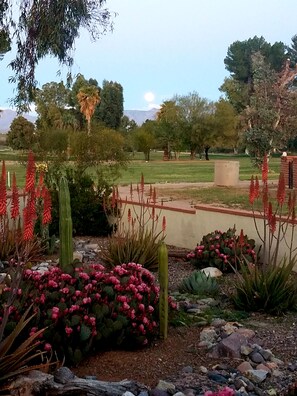 Property grounds - Beautiful 2-bedroom Golf house in Green Valley perfect for relaxing getaway (Green Valley)