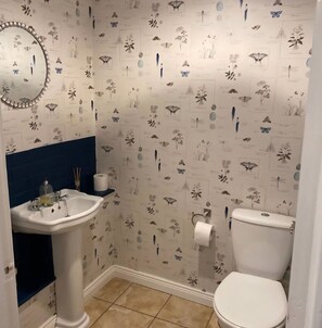 Shower, hair dryer, towels, toilet paper - Countryside farmhouse, great for families in the heart of County Roscommon! (Tulsk)