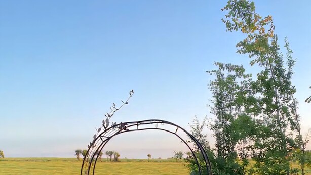 Un área de estar al aire libre con un camino de piedra, rodeada de plantas en macetas y un arco rústico.