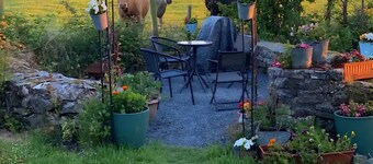 Countryside farmhouse, great for families in the heart of County Roscommon!