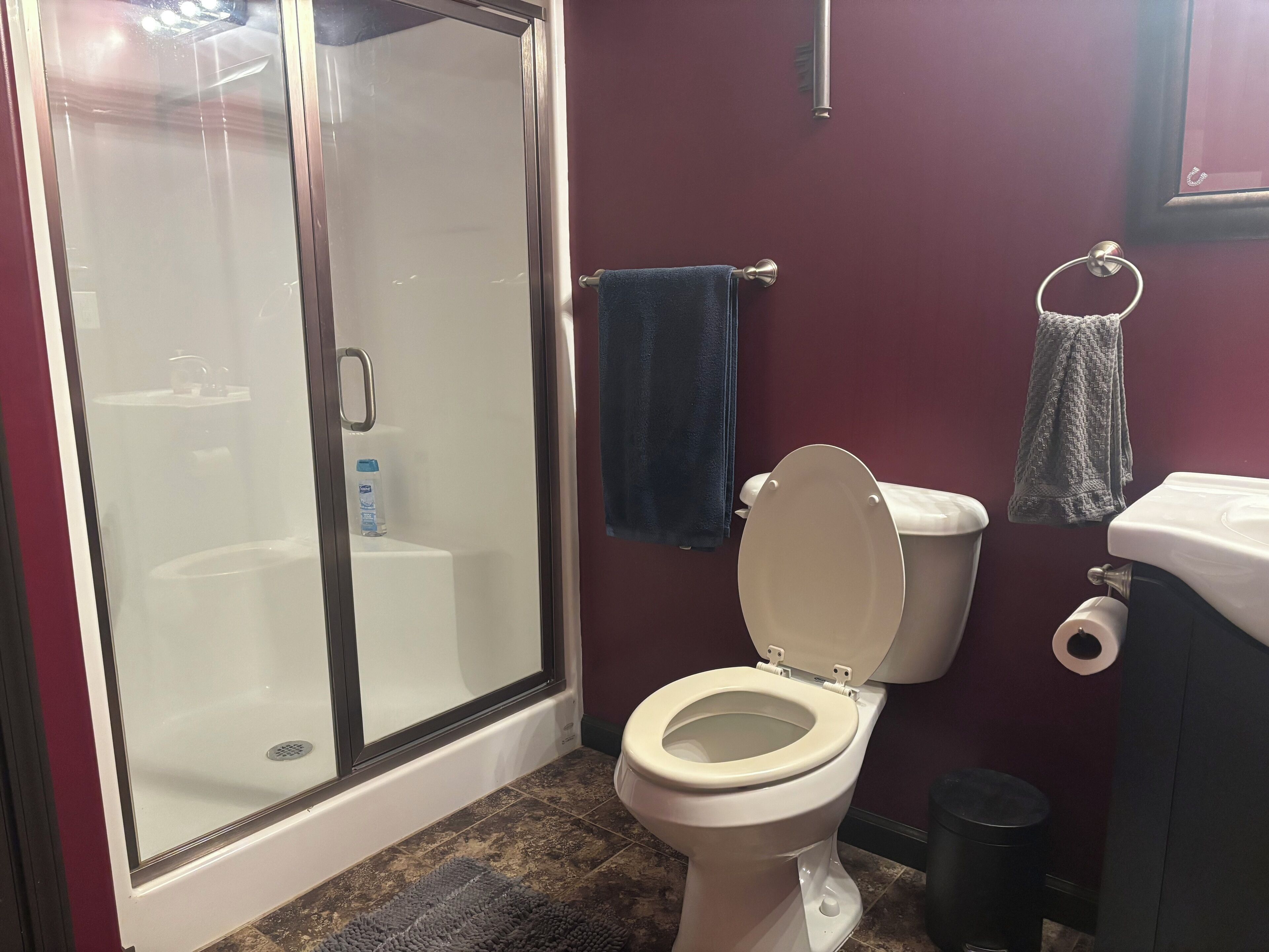 Shower, towels, soap, toilet paper