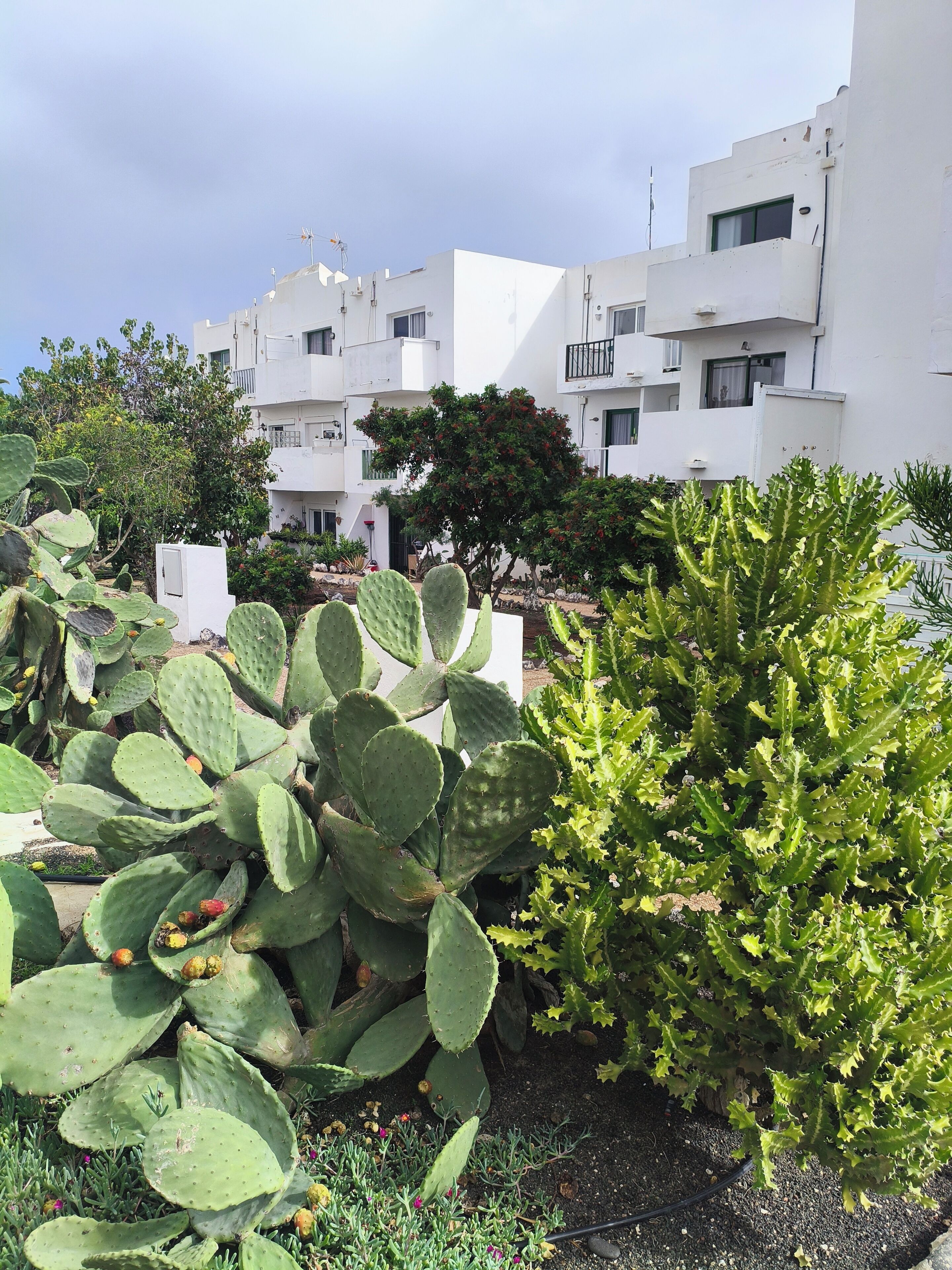 Details aan de buitenkant