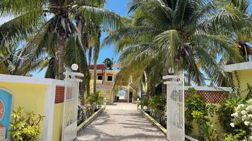 Ărea da propriedade