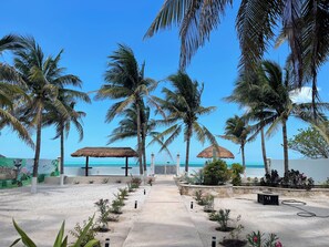 A beachside area with palm trees, a thatched-roof structure, and a view of the ocean. - FLORA: Lovely suite in charming Celestun with AC & King bed. (Celestún)