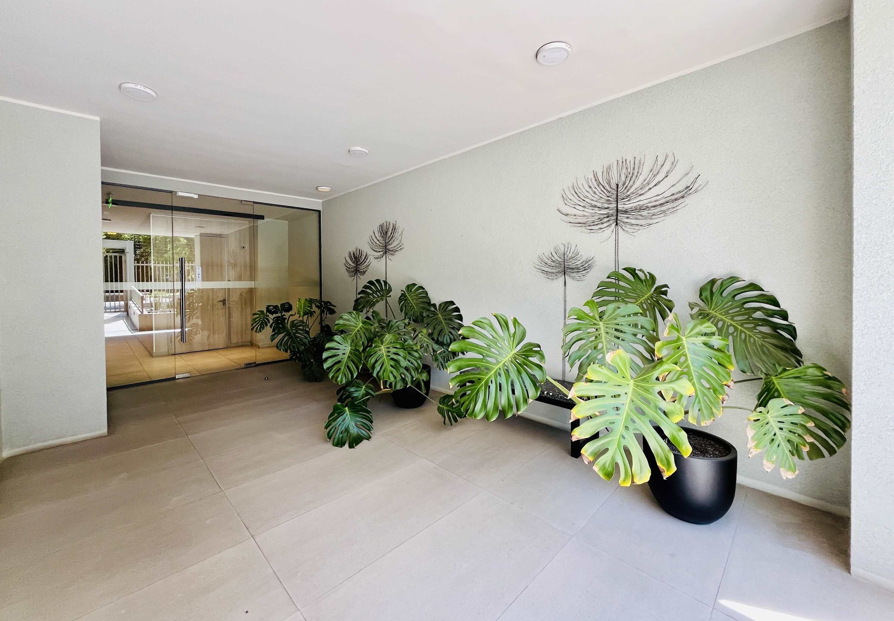 Un interior moderno con un pasillo bordeado de plantas en macetas y un puerta de vidrio que da a un área exterior.