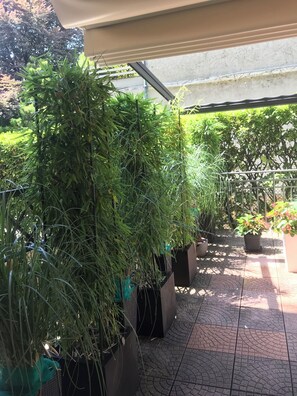 المنطقة المحيطة بالمنشأة