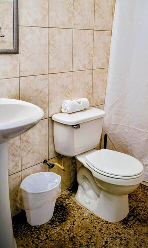 Shower, towels, soap, toilet paper