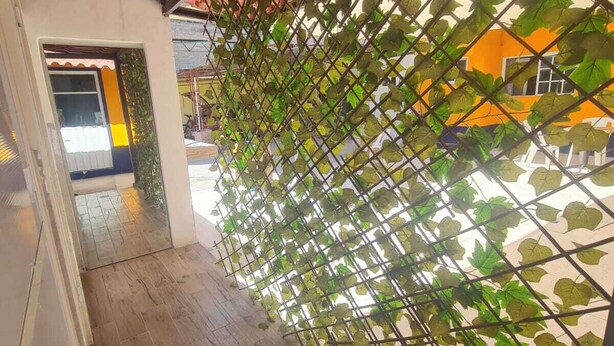 A corridor with a wooden floor and a metal fence covered in green leaves. - Hostal Casa Gavilan (Tecamac)