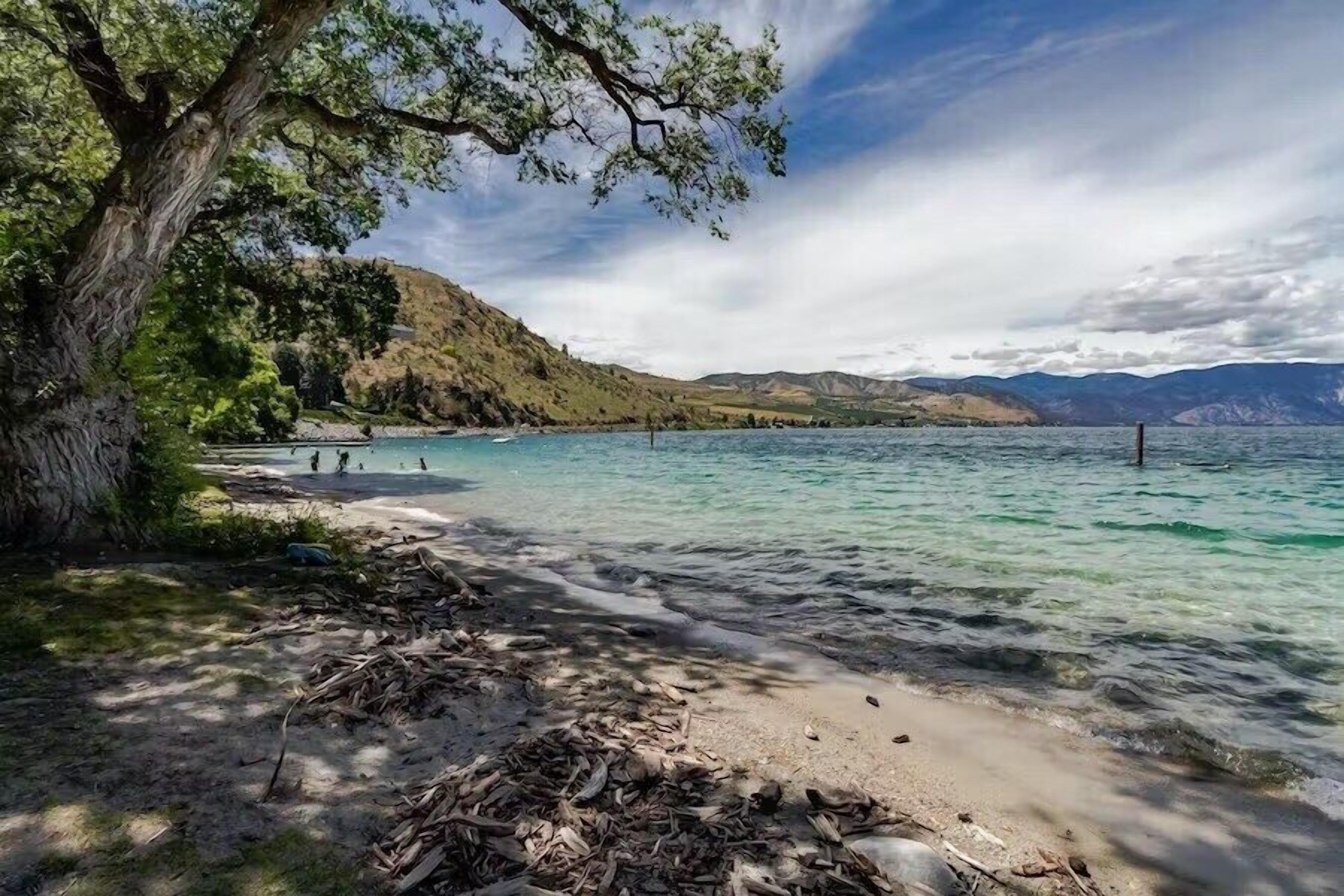 A beach with clear water, a tree, and a hilly landscape in the background.