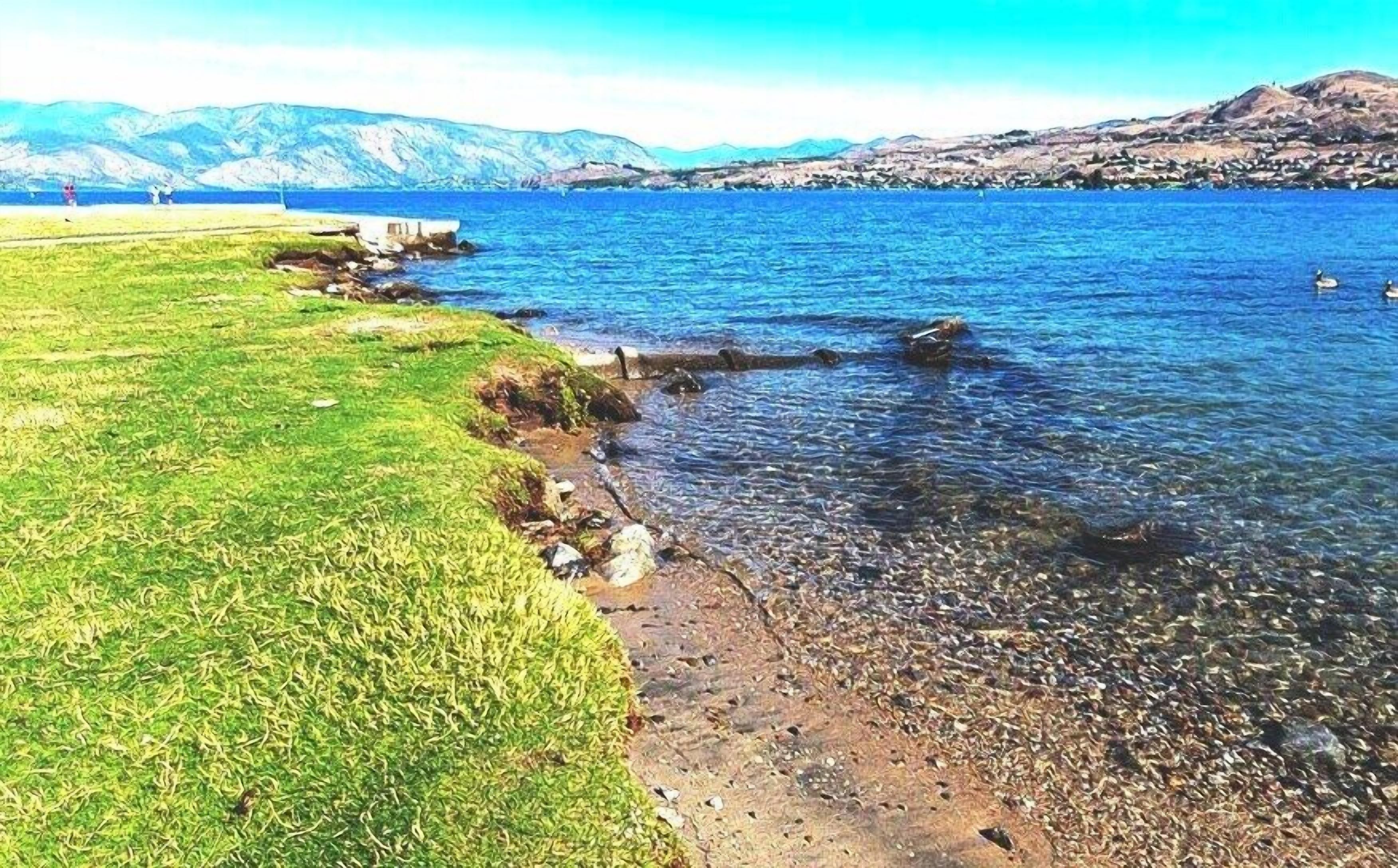 Playa