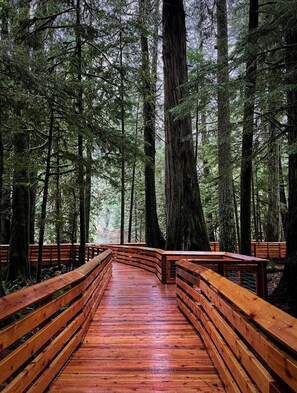 Terrain de l’hébergement 