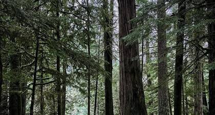 Oceanside Nature Resort at Pacific Shores