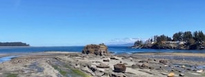 Beach - Oceanside Nature Resort at Pacific Shores (Nanoose Bay)