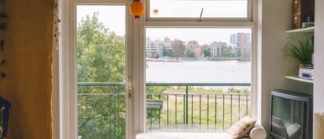 TV, fireplace, DVD player, books