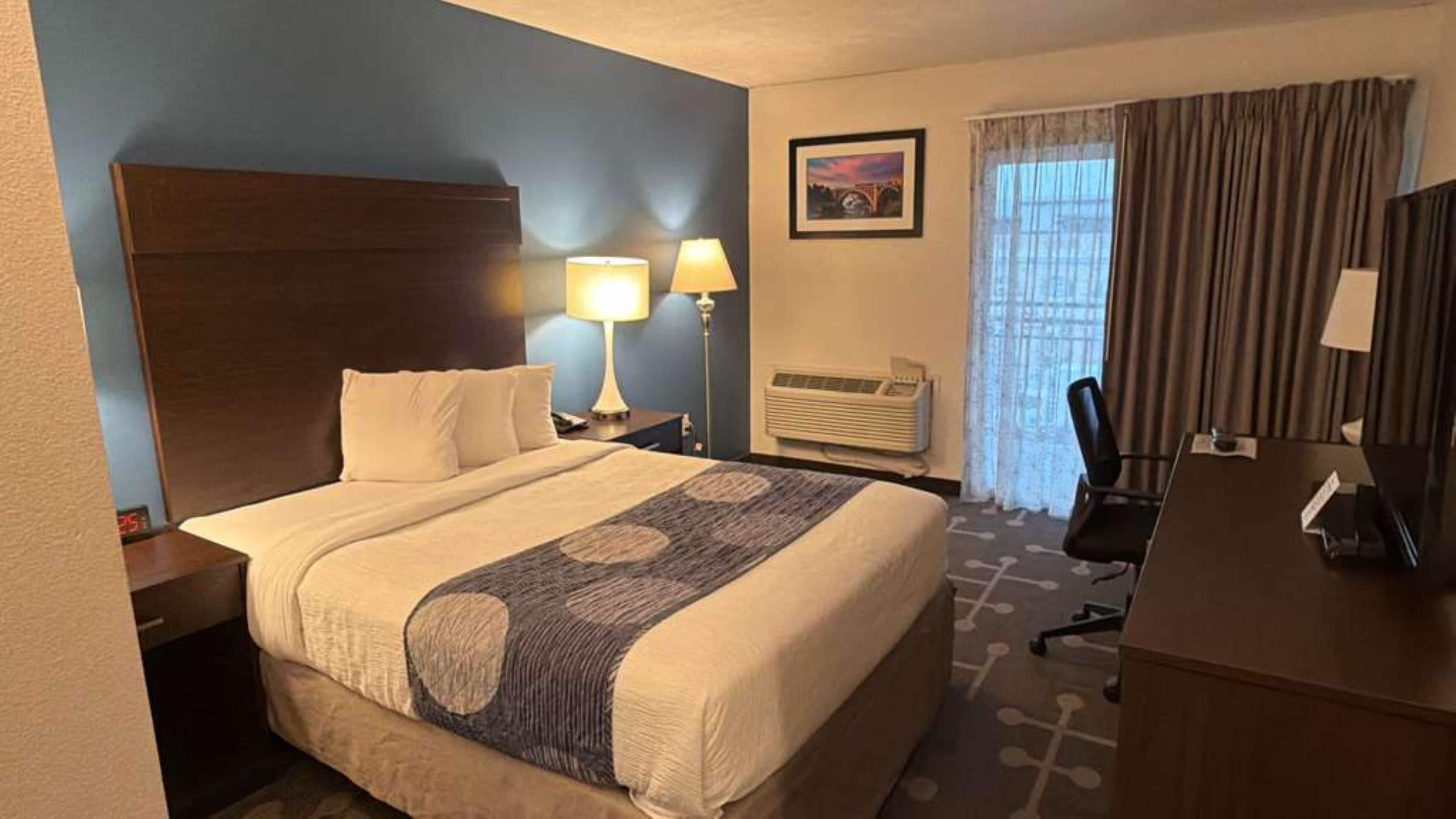 Standard Room, 1 Queen Bed, Non Smoking, City View | Desk, laptop workspace, iron/ironing board, free WiFi