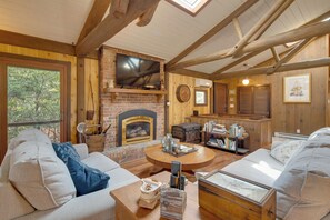 TV, fireplace, books, video library