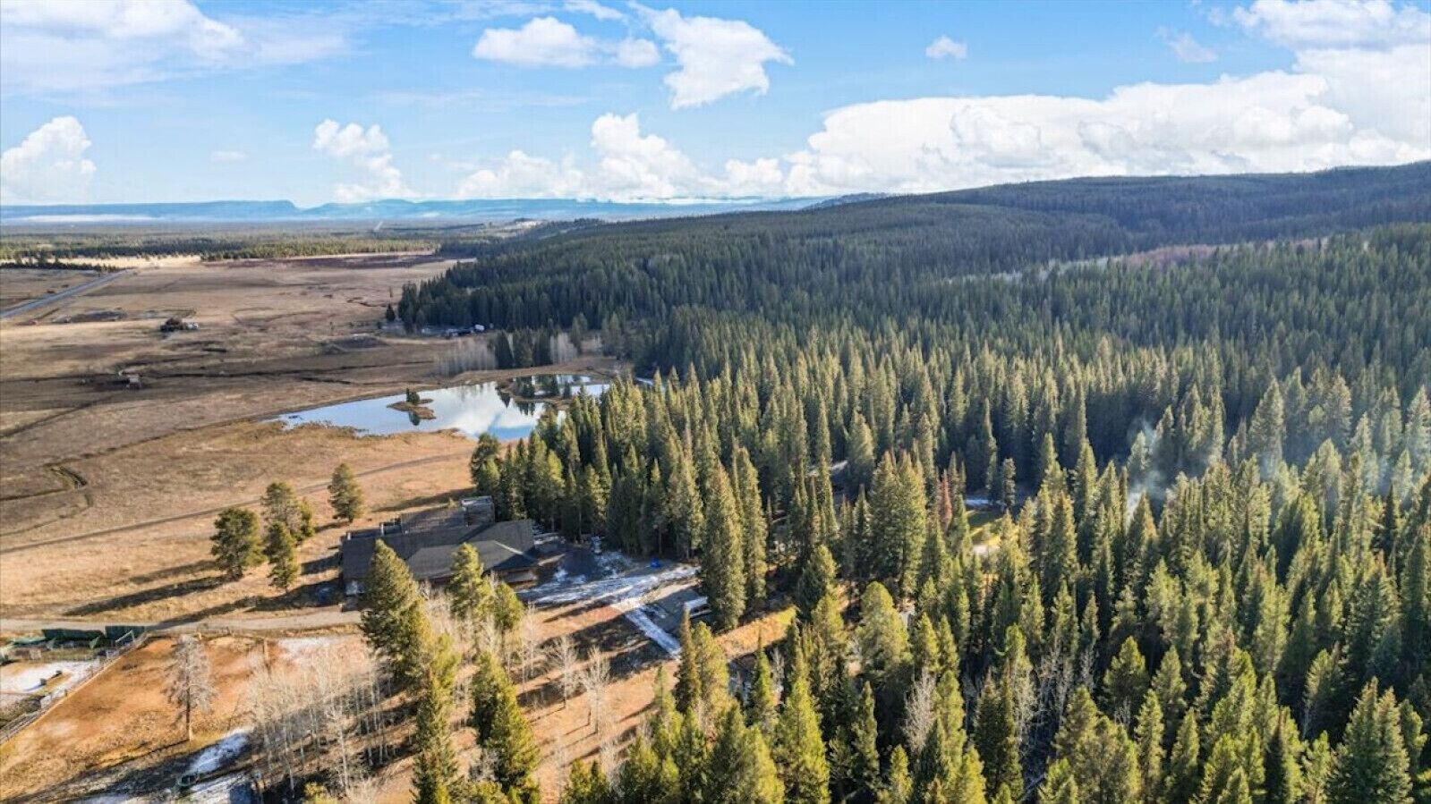 Vista aérea de una zona boscosa con un pequeño conjunto de edificios cerca de un cuerpo de agua.