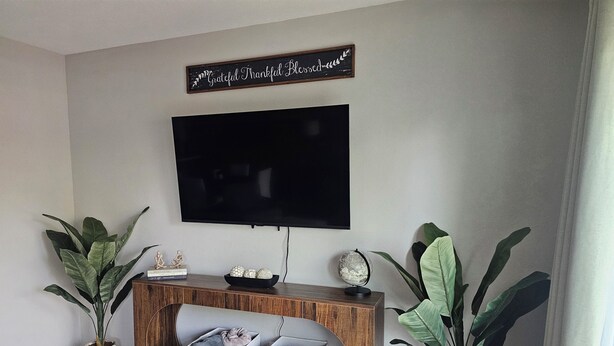 Een woonkamer met een flatscreen televisie aan de muur, een houten console tafel met opbergmanden, en twee grote potplanten.