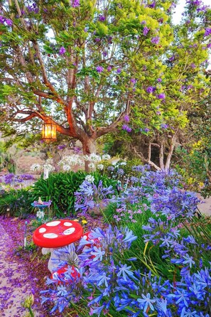 Property grounds - 6BR Enchanted Estate on 5 Acres Pool & Mini Horses (Bonsall)