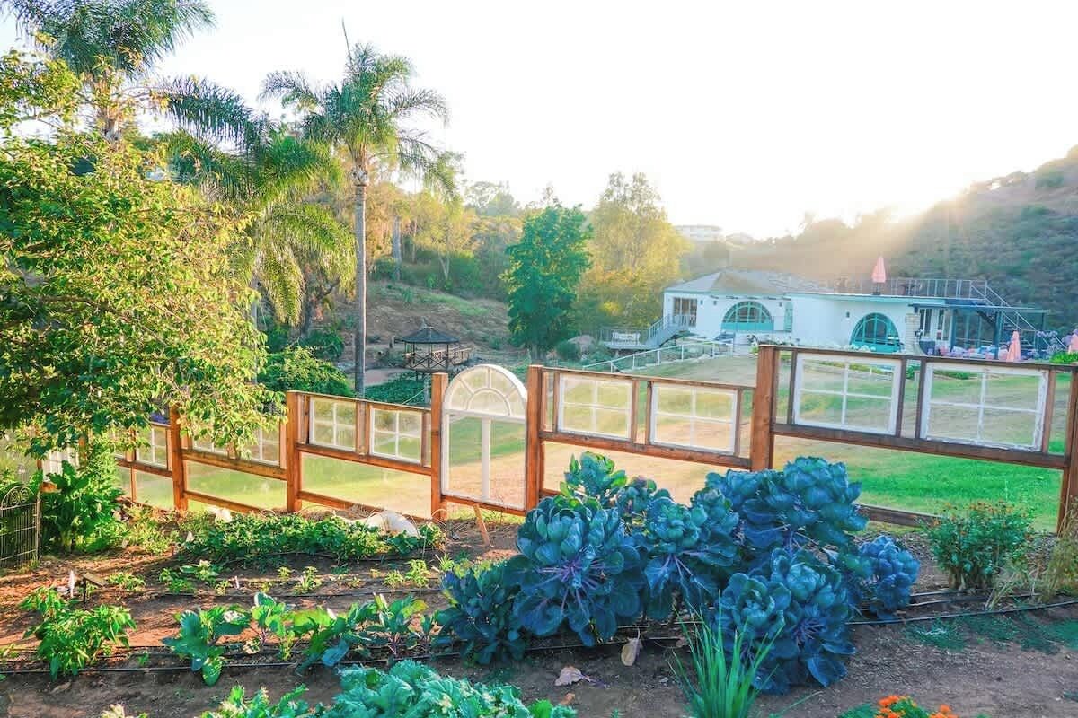 Terrain de l’hébergement 