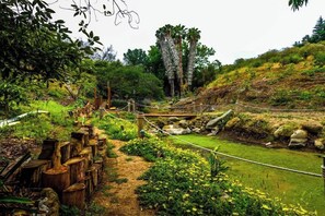 Property grounds - 6BR Enchanted Estate on 5 Acres Pool & Mini Horses (Bonsall)